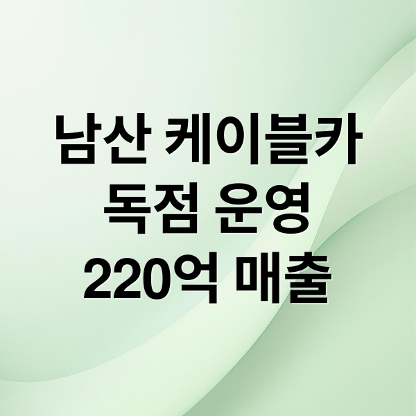 남산 케이블카 63년 독점의 비밀: 연매출 220억 재조명 1