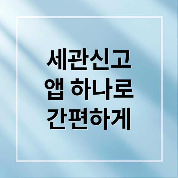 여행자 세관신고 앱: 면세 한도, 자진신고 꿀팁 완벽 정리 1